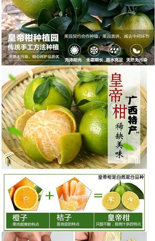 廣西皇帝柑 應季鮮果，薄皮多汁，整箱批發包郵到家