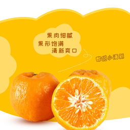 長(zhǎng)陽(yáng)清江椪柑 源自農(nóng)夫鄉(xiāng)情的當(dāng)季精品