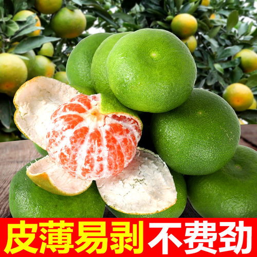 新鮮蜜橘批發(fā)指南 薄皮多汁，多倉(cāng)直發(fā)